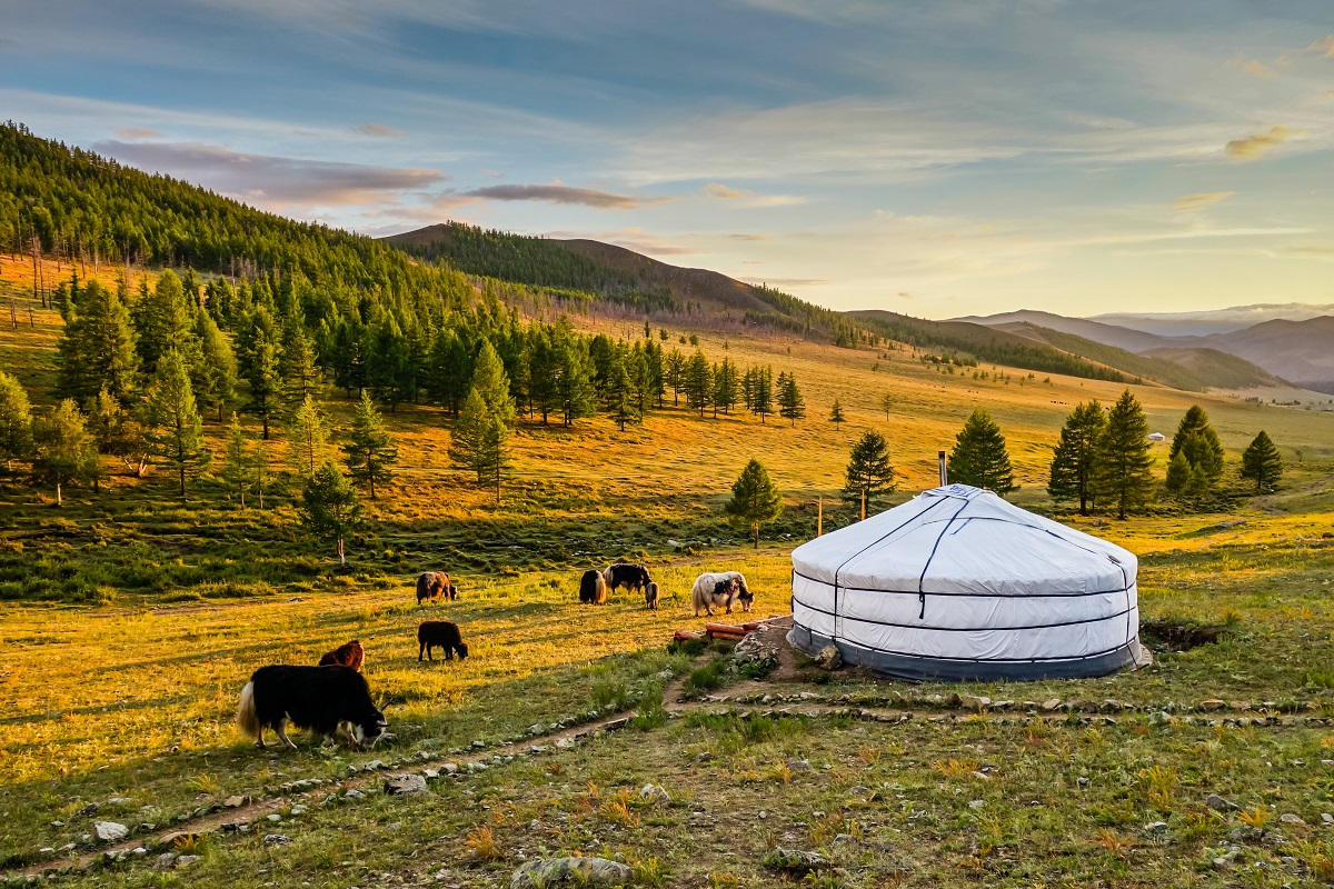 Mongolie : 5 choses à savoir avant de partir